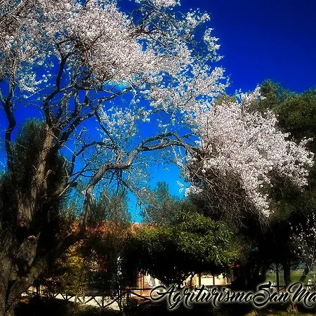 Farm stay San Matteo *
