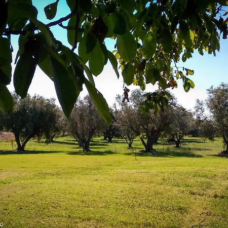 Farm stay San Matteo