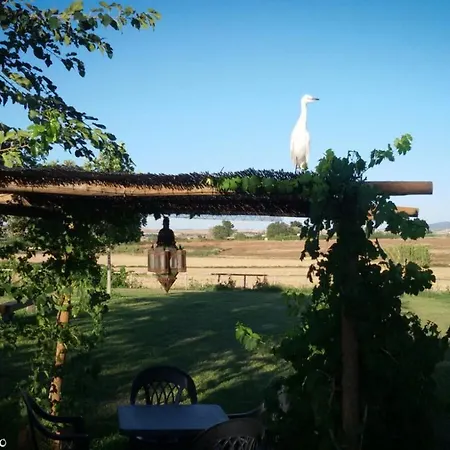 San Matteo Farm stay Tarquinia