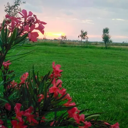Farm stay San Matteo Tarquinia
